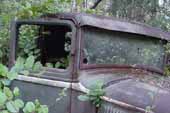 Very complete pickup truck cab stored in vintage car wrecking yard