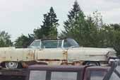 Awesome but very rusty 1950's Cadillac convertible at vintage car junkyard