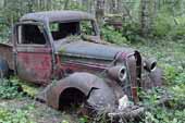 Restorable Dodge project pickup truck found in vintage car junk yard