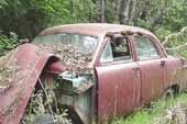 1950's Ford fordor sedan project car stored in vintage car wrecking yard