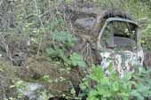 Wrecked 1940's sedan hidden in vintage car junk yard