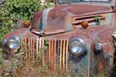 Awesome 1940's Ford farm truck parked at vintage car wrecking yard