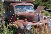 Original 1940's Ford truck parked in old car salvage junk yard